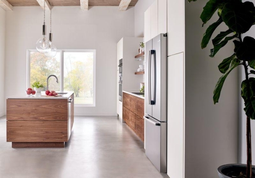 True counter-depth - B21CL80SNS