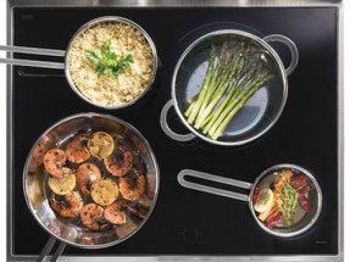 The Innovation of Induction - BIRC24102SS