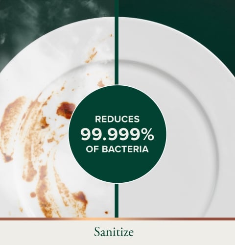 Presoak + Sanitize