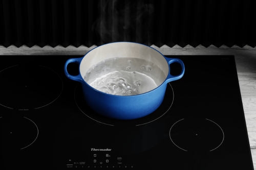 11" Heating Zone accommodates large cookware - CIT304YM