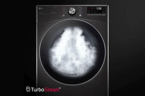 Steam Refresh Clothes in Between Washes - DLGX4201B