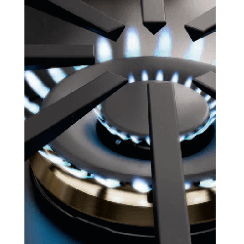 DUAL FLAME BURNER - F6PGR304S1