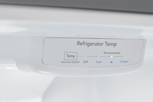Electronic Temperature Controls Electronic Temperature Controls