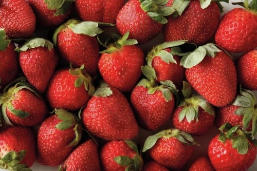 Preserve Freshness