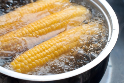 Quick Boil Burner