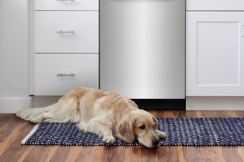 Keep your Kitchen Quiet with 52 dBA