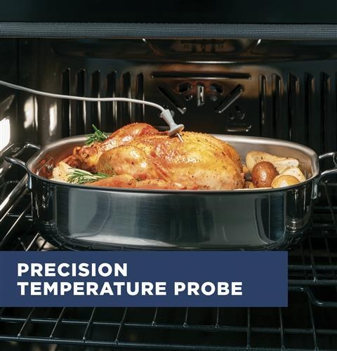 Sonde de température de précision