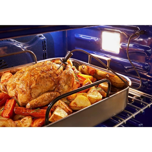 Integrated Meat Thermometer Integrated Meat Thermometer