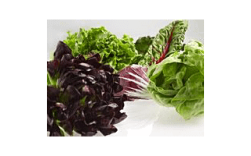 ExtendFresh&trade; Plus Temperature Management System - KRFC300EBS