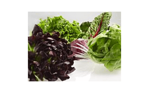 Système de gestion de la température ExtendFresh™ Plus