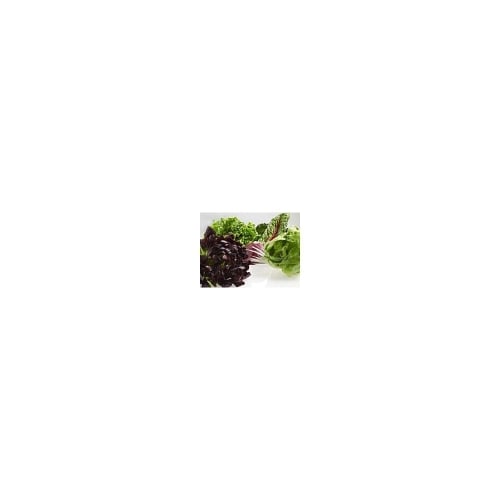 ExtendFresh&trade; Temperature Management System - KRFF305ESS