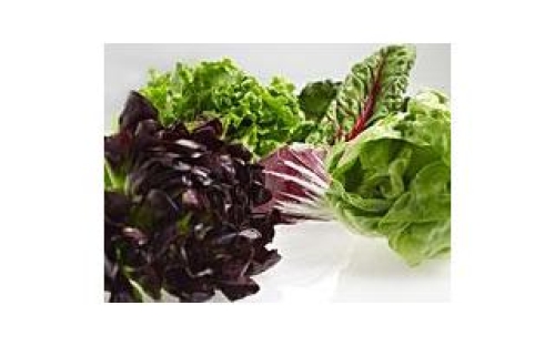 ExtendFresh&trade; Plus Temperature Management System - KRFF305EWH