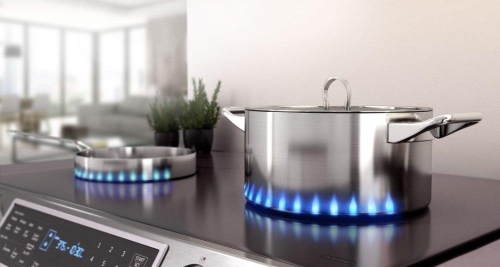 Virtual Flame™ - NE58K9560WS Virtual Flame™ - NE58K9560WS
