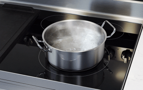 A cooktop that gets it all done!