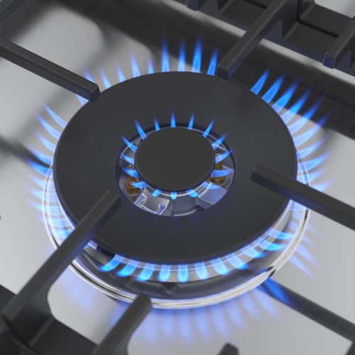 Dual-Flame Power Burner