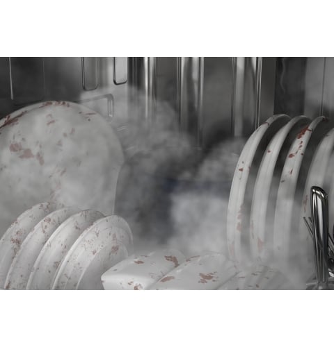 Steam + Sani Steam + Sani