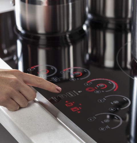 Control lock capability - PP9036SJSS