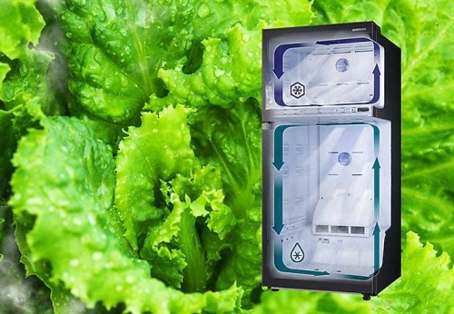 Twin Cooling Plus&trade; - RT21M6213SR
