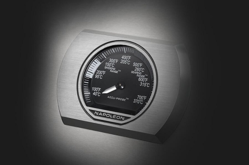 ACCU-PROBE Temperature Gauge - RXT625SIBPSS-1