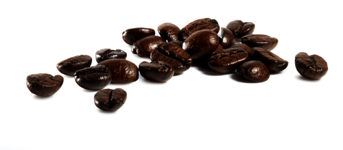 Enhance coffee aromas with the cup warmer - TIU20307