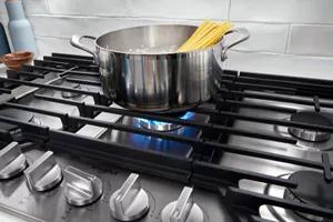 SpeedHeat™ Burner SpeedHeat™ Burner