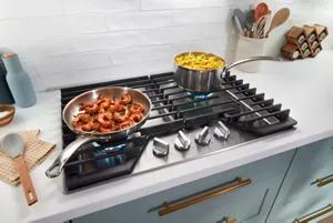 9.1K-12K BTU Multi-Purpose Burners 9.1K-12K BTU Multi-Purpose Burners