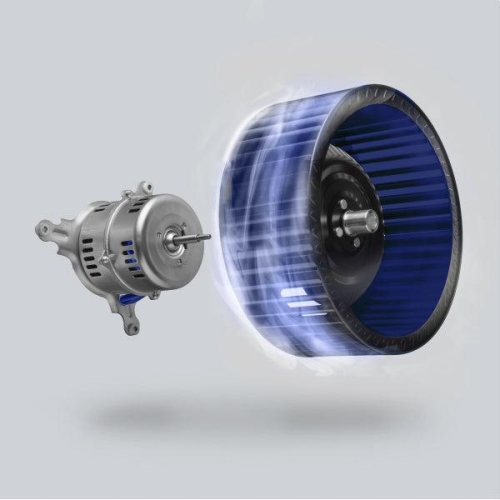  - WM-538SS-30