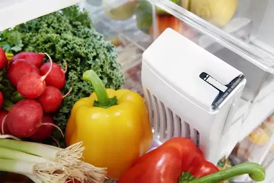 FreshFlow™ Produce Preserver FreshFlow™ Produce Preserver