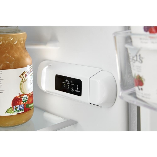 Electronic Temperature Controls - WRT541SZDM