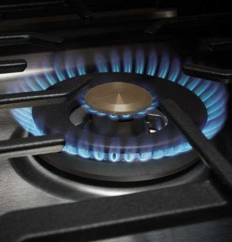 Tri-ring burner - ZGU30RSLSS
