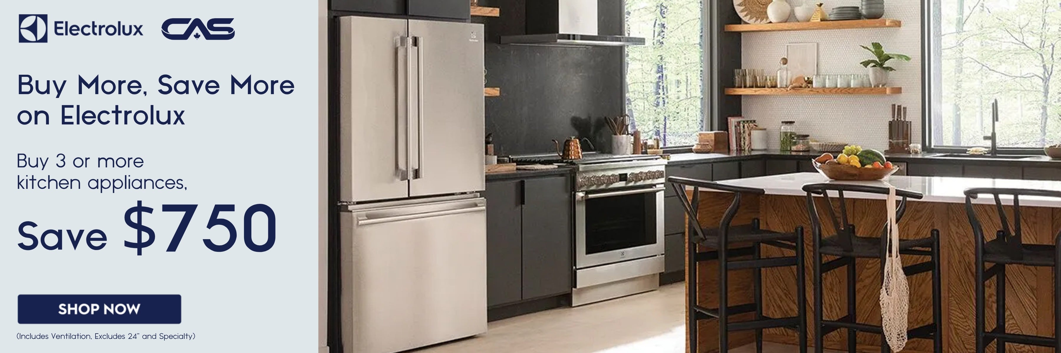 Electrolux appliances promotion
