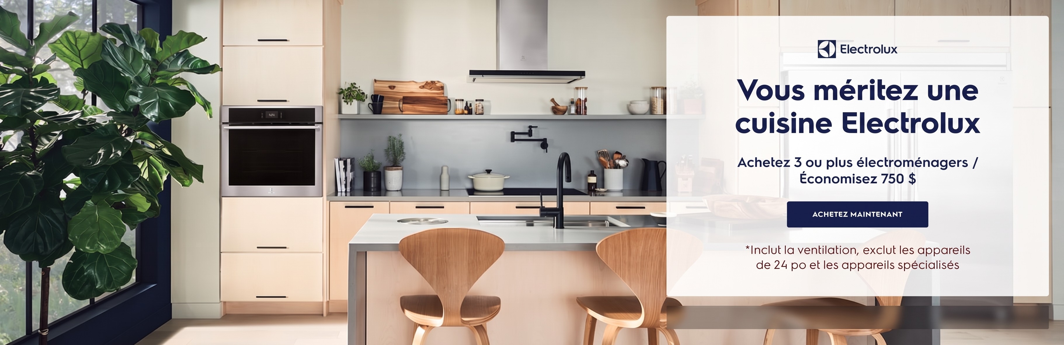 Promotion électroménagers Electrolux