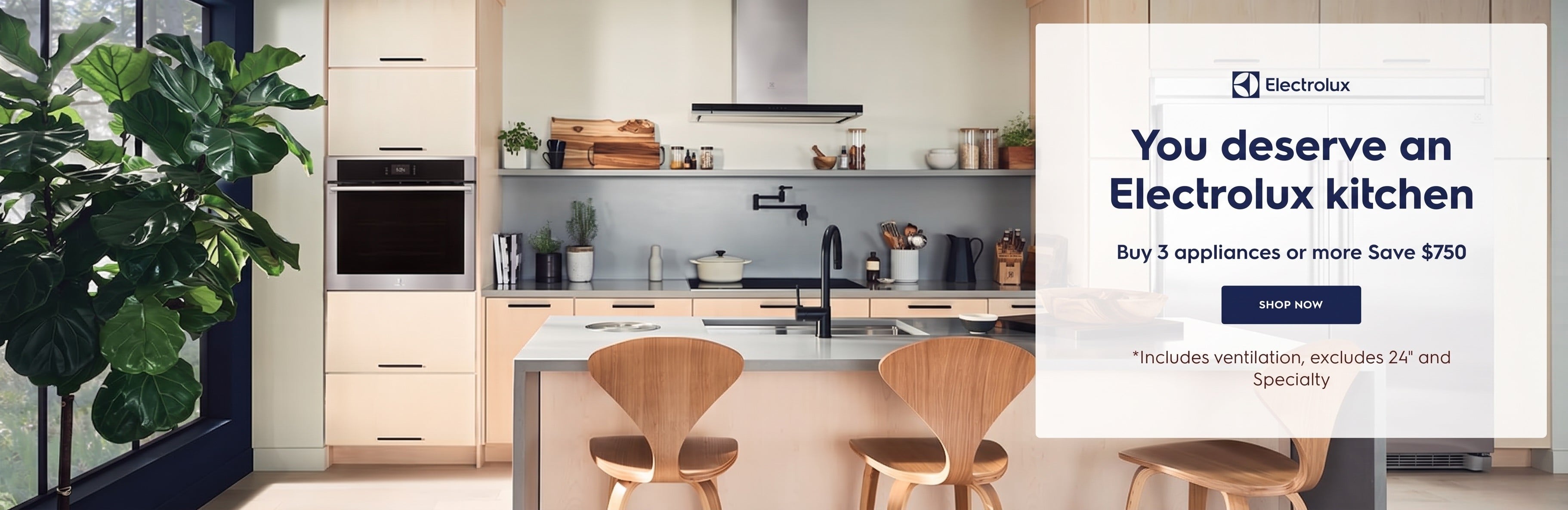Electrolux appliances promotion