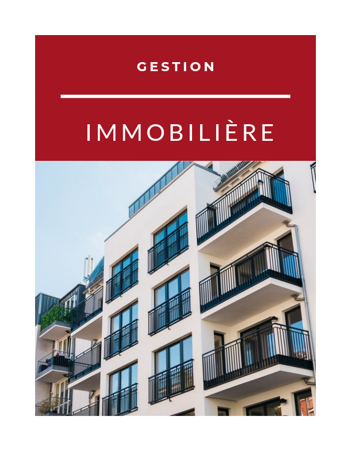 Immobilier