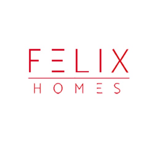 Mike Wang @Felix Homes