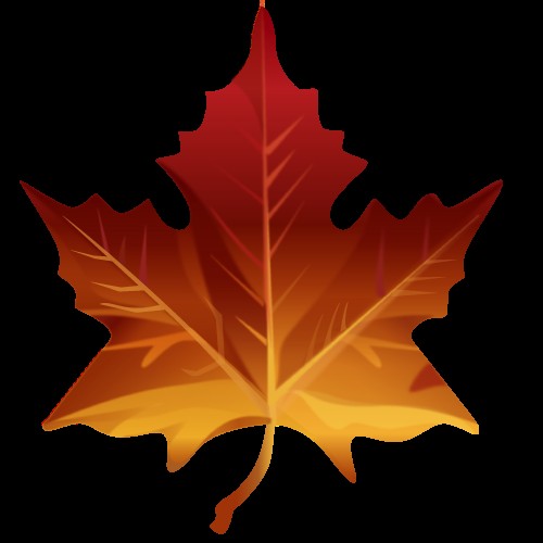 Vladislav Bagatov @Maple Leaf Appliance Repair