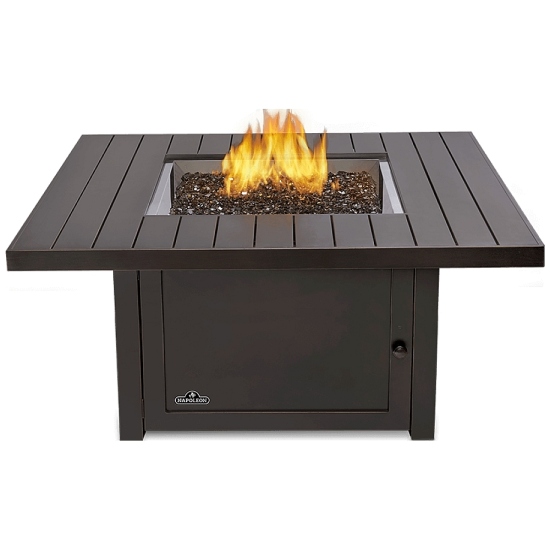 Napoleon Grills STTR2-BZ