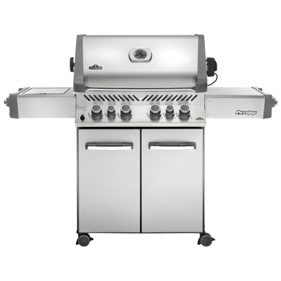Évaluations Napoleon Grills P500RSIBPSS1