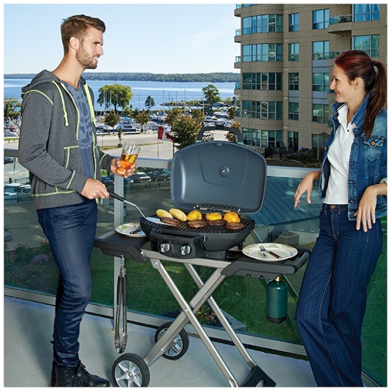 Bbq cheap reviews canada