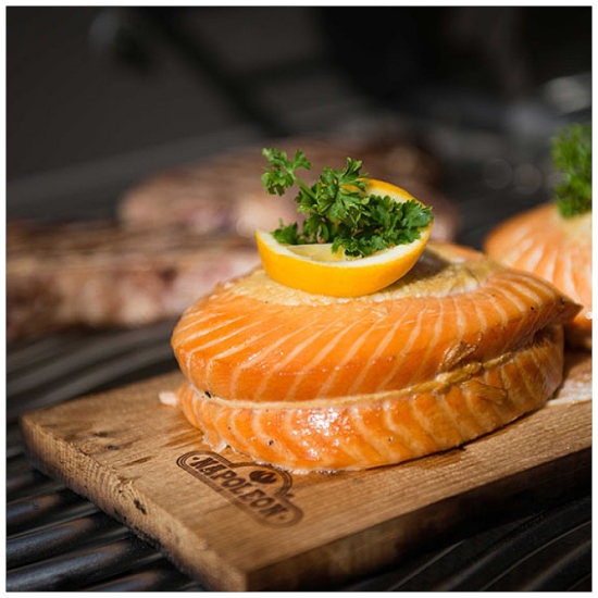 Napoleon Grills 67033 reviews