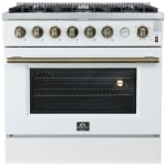 Forno 36 pouce Cuisinières à Gaz