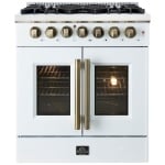 Forno 30 pouce Cuisinière à Biénergie