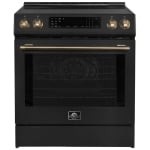 Forno 30 pouce Cuisinière à induction