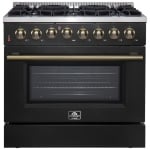 Forno 36 pouce Cuisinière à Biénergie