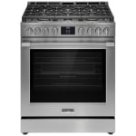 Frigidaire Professional Gas 30 inch Gas Range