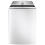 GE PTW600BSRWS