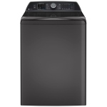PTW700BPTDG