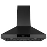 Hauslane Hotte de cuisinière