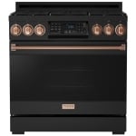 Thor Kitchen Gordon Ramsay 36 pouce Cuisinières à Gaz
