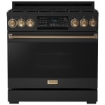 Thor Kitchen Gordon Ramsay RSG36B-BRZ Range